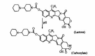 伊立替康Onivyde,蔗糖八硫酸酯X鹽梯度-艾偉拓 伊立替康Onivyde,蔗糖八硫酸酯X鹽梯度-艾偉拓