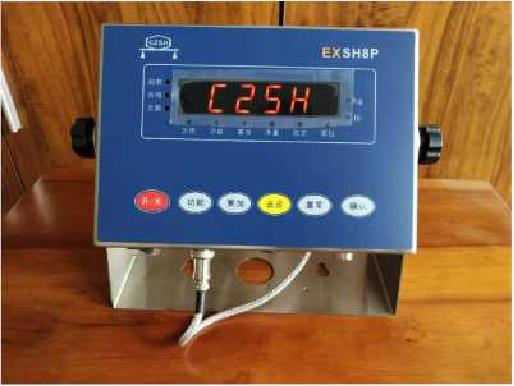 防爆儀表系列（本安型）