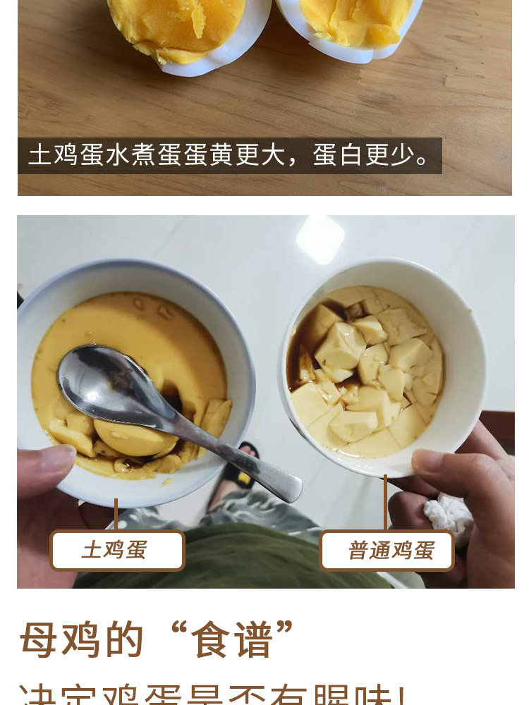 土雞蛋_03.jpg