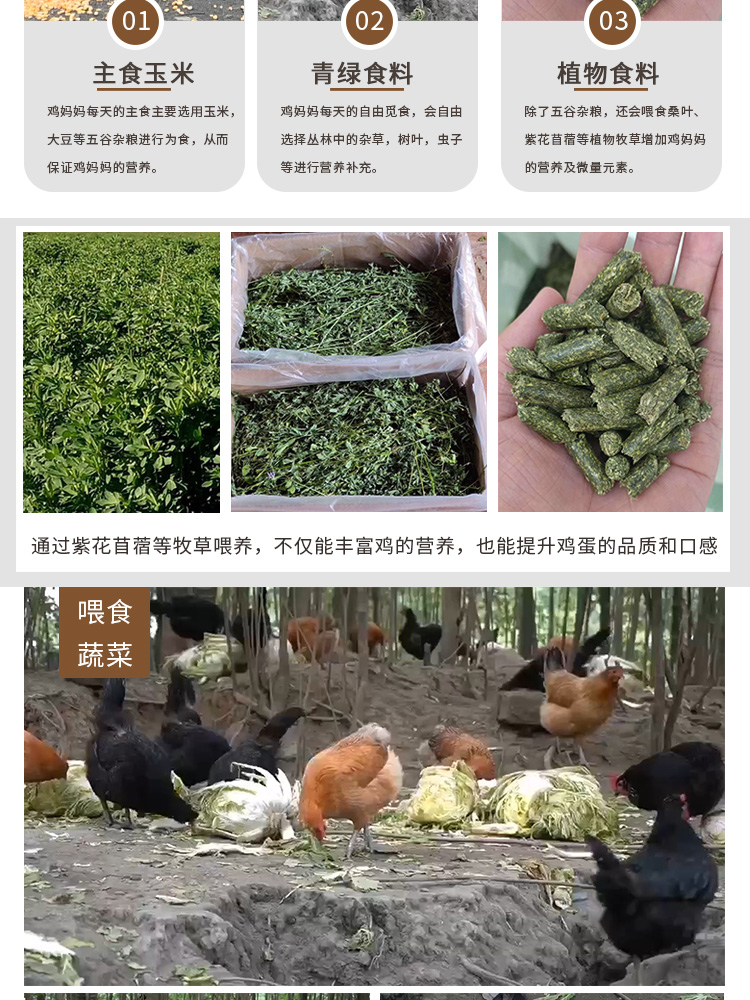土雞蛋_05.jpg