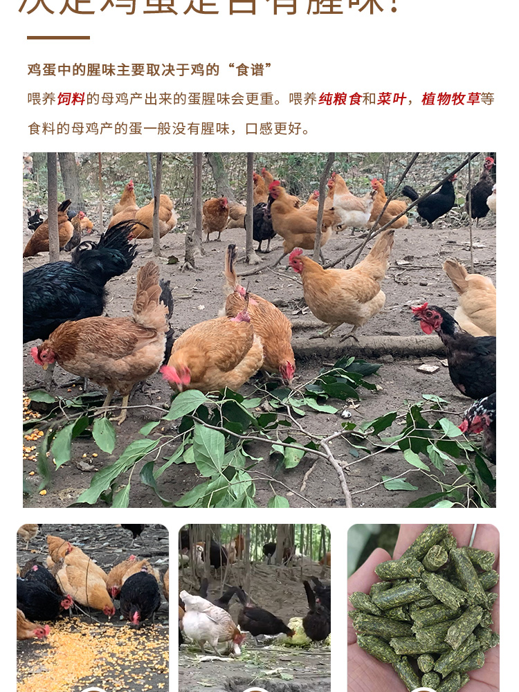 土雞蛋_04.jpg