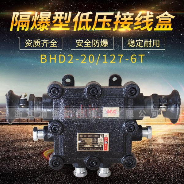 隔爆型低壓接線盒-BHD2-20/127-6T