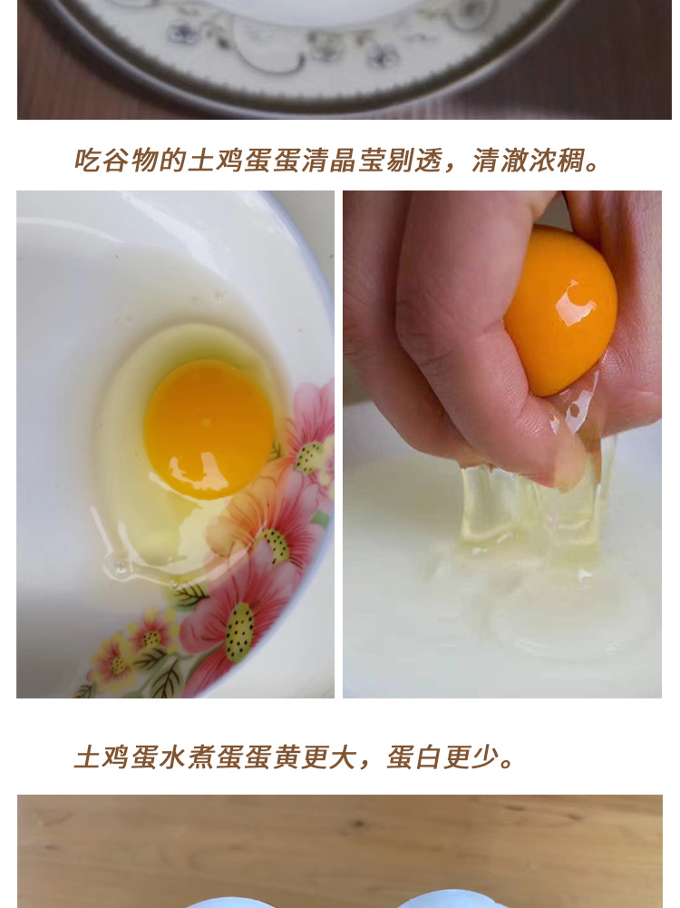 烏雞綠殼蛋-_03.jpg
