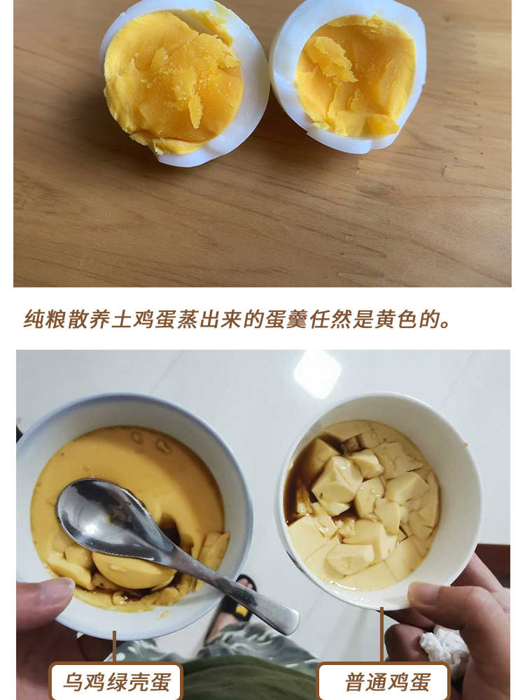 烏雞綠殼蛋-_04.jpg