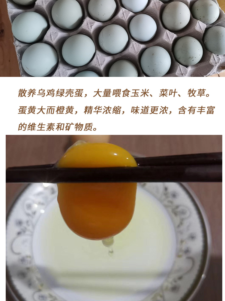 烏雞綠殼蛋-_02.jpg