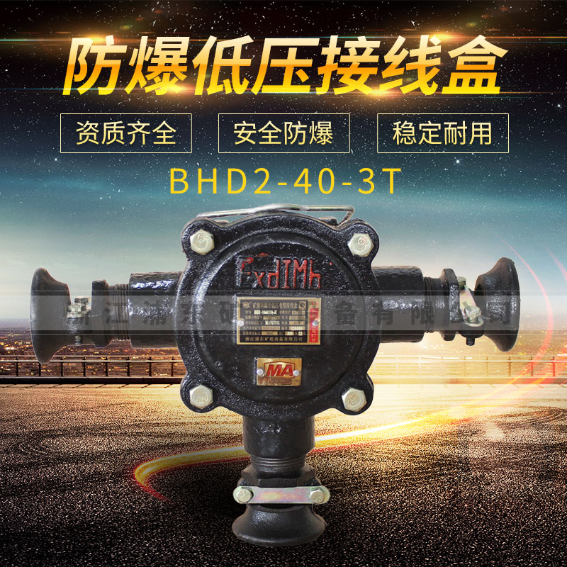 防爆低壓接線盒-BHD2-40-2T