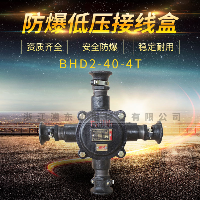 防爆低壓接線盒-BHD2-40-2T