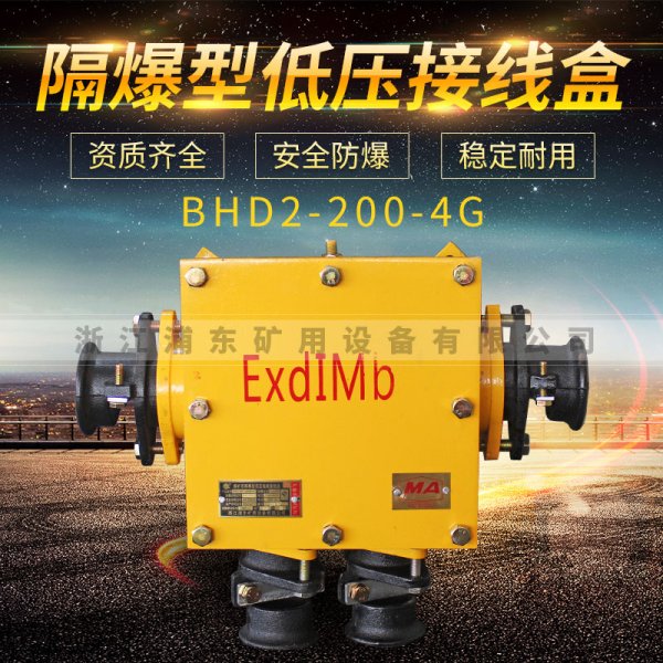 隔爆型低壓接線盒-BHD2-200-2G