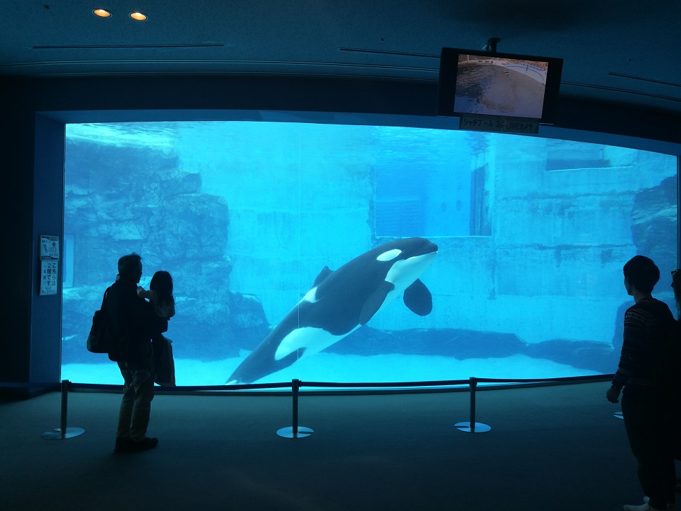 建造大型海洋主題公園工程 ，會(huì)是一只怎么樣的團(tuán)隊(duì)？