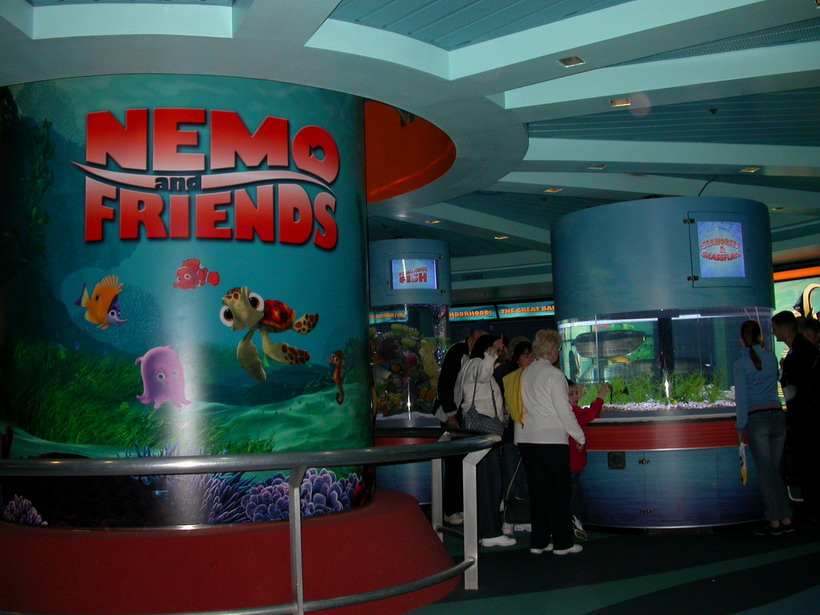 上?？萍拣^二期建造