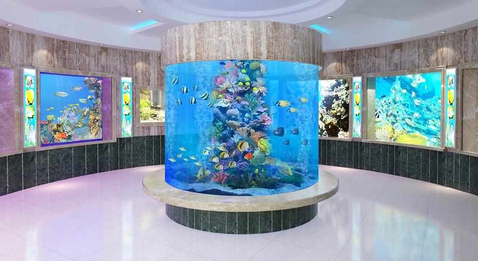 上海動(dòng)物園建造過(guò)程