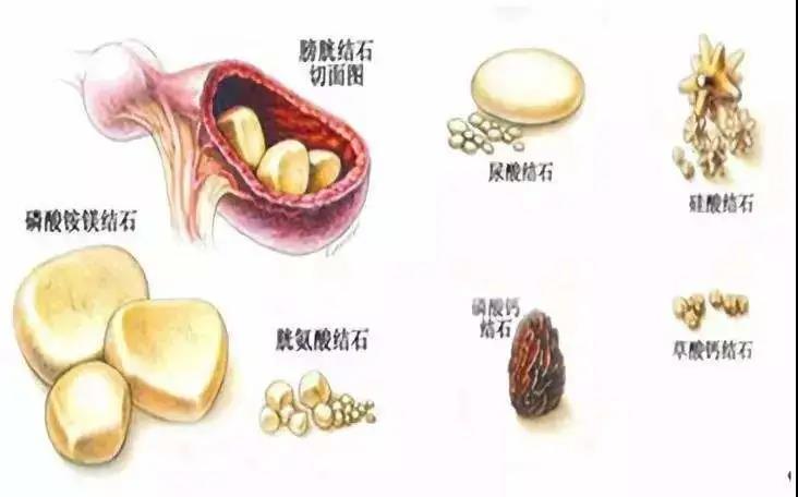 微信圖片_20210309141724.jpg