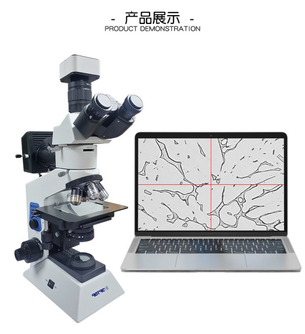 三鏘泰達高清金相顯微鏡