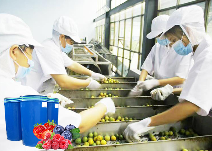 刺梨加工生产线的工艺流程