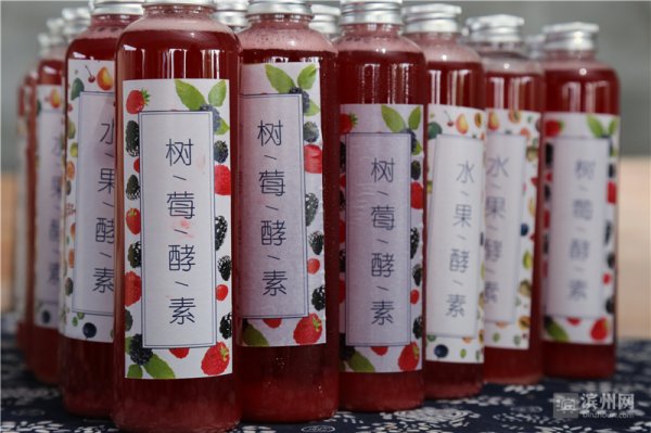 草莓藍莓漿果類果酒生産線