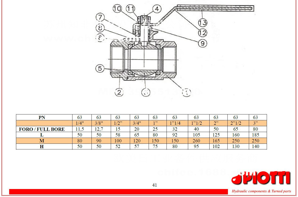 P19.jpg