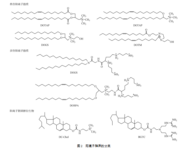   【脂質體】AVT給您分享注射劑的應用與發(fā)展-艾偉拓（上海）醫(yī)藥科技有限公司