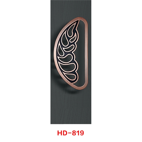 hd819-1.jpg