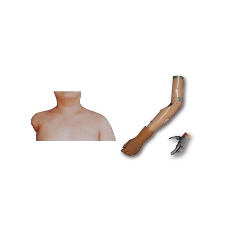 八自由度科生仿生臂