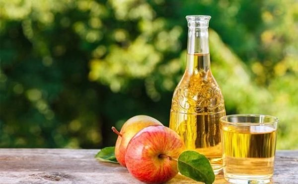 蘋果、葡萄、橙子果酒生産線