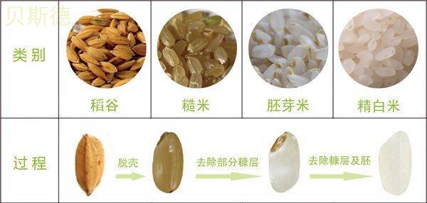 胚芽米的營養(yǎng)價值