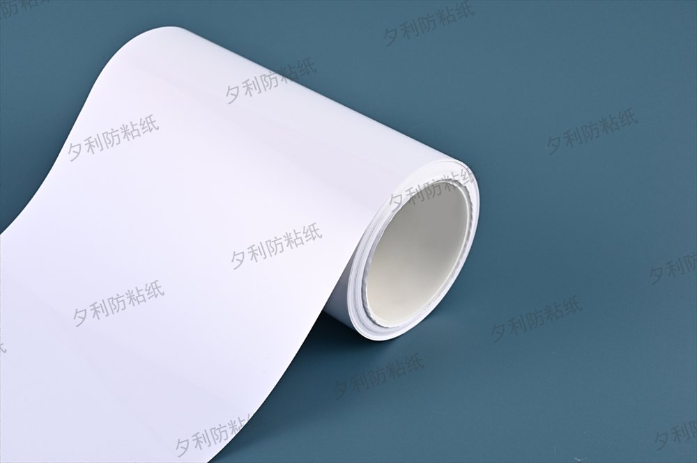 离型纸