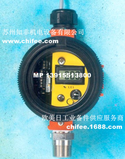 C12-17可燃?xì)怏w檢測(cè)儀.jpg