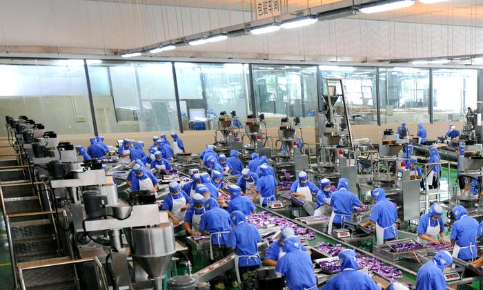 統一企業，統一椰子水，優椰椰子水，方便面，上海稲緣食品有限公司