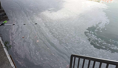 西津橋化學(xué)粉末污染事件紀(jì)實(shí)