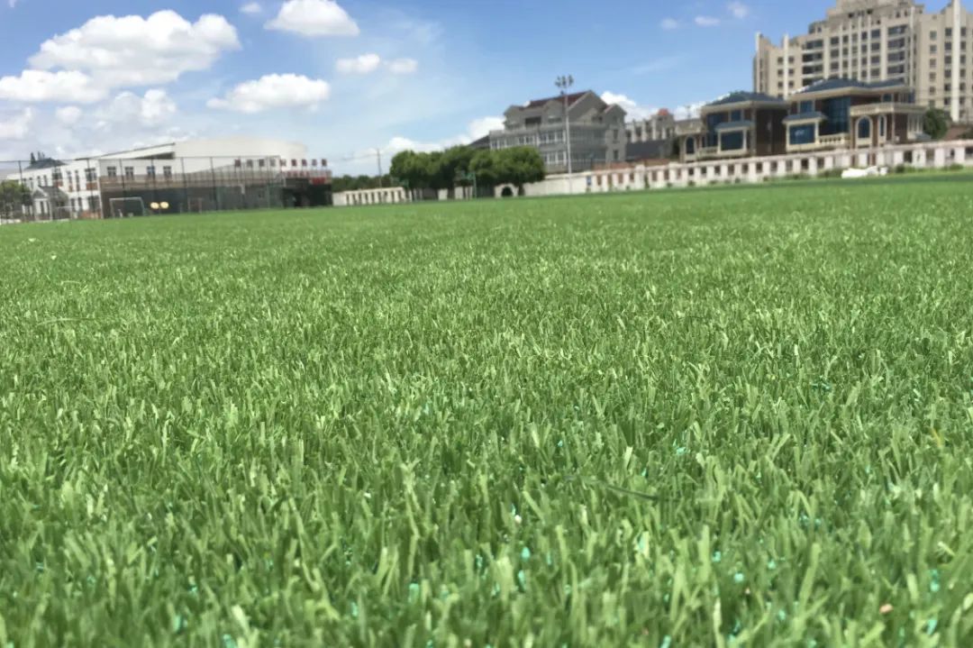 人造草坪的優勢及特點是什么？