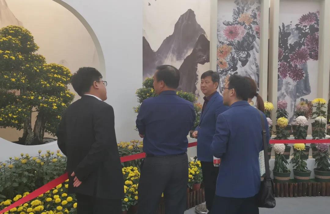 實(shí)地考察湖熟菊花基地.jpg