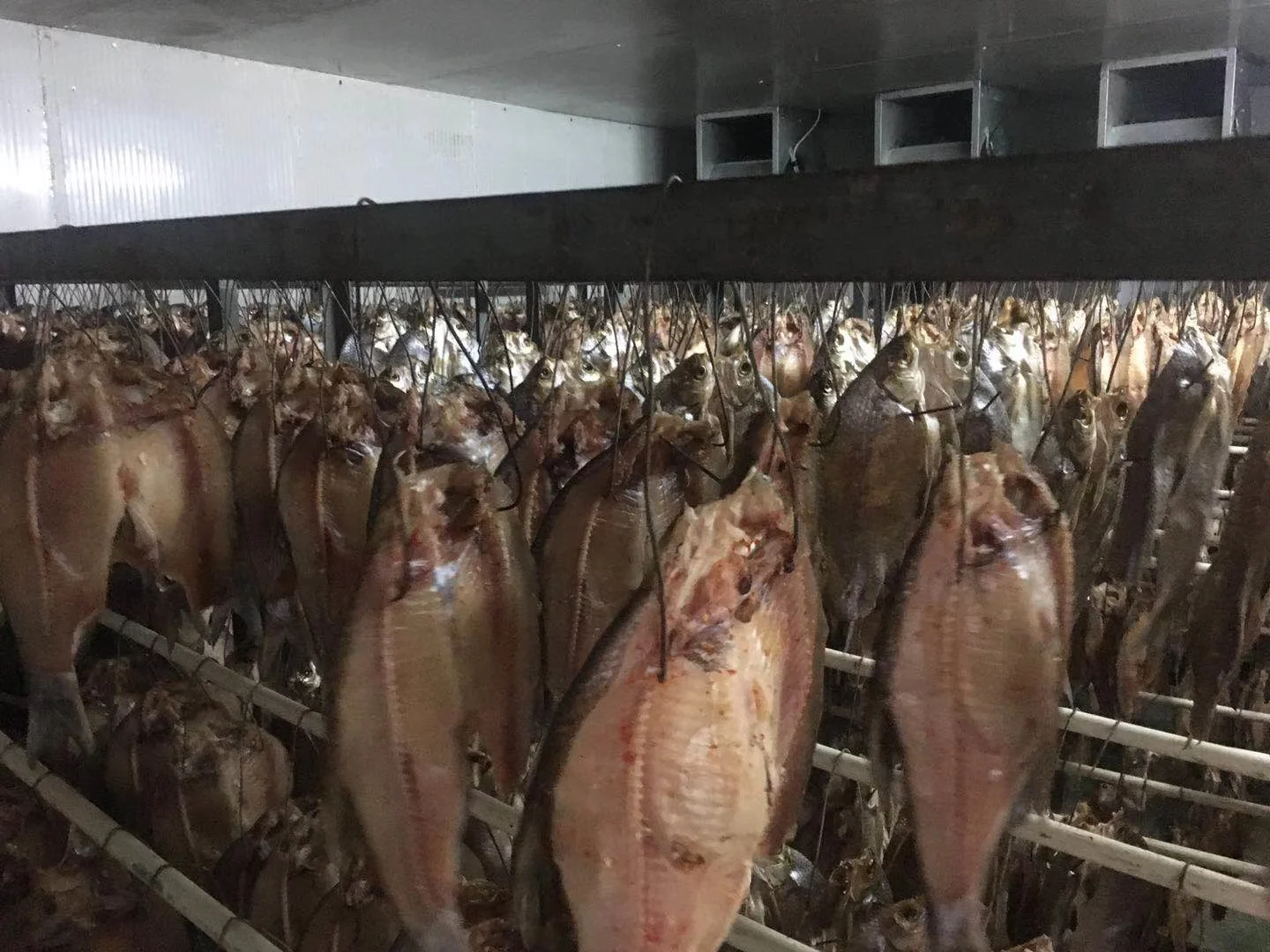 魚冷風(fēng)烘干房