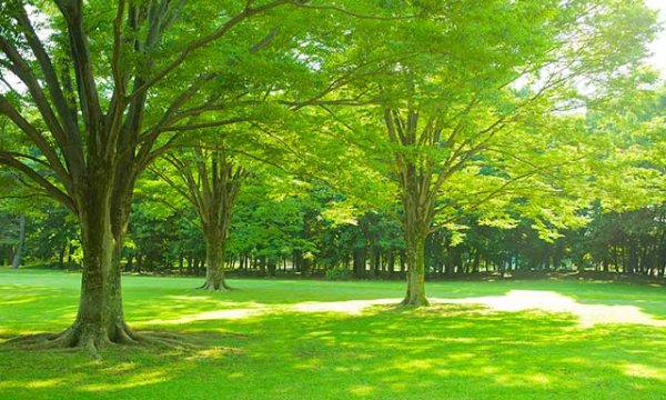 肇慶保利心悅花園