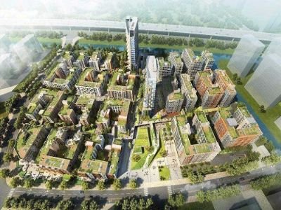 張江項目代理申報