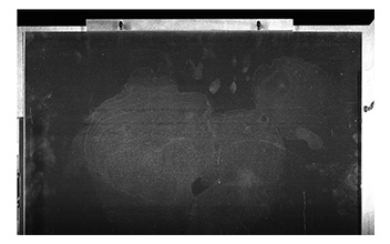 太陽能面板檢測