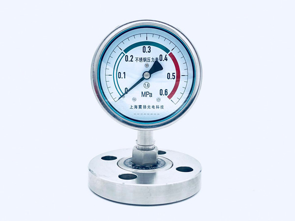 Y100BF(MF,RF)隔膜壓力表.jpg