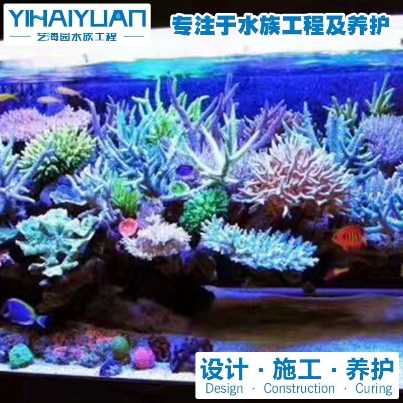 珊瑚魚(yú)缸 (7).jpg