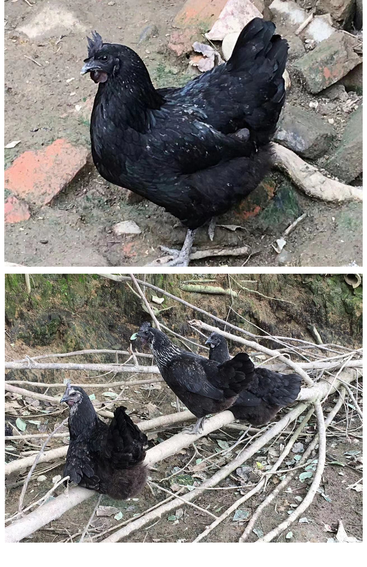 微信圖片_20201215141318_02.jpg 微信圖片_20201215141318_02.jpg