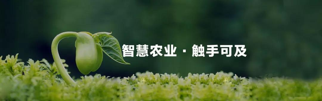 智慧農(nóng)業(yè).JPG 智慧農(nóng)業(yè).JPG