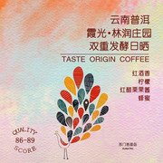 TO咖啡 云南普洱林潤莊園霞光精品咖啡豆