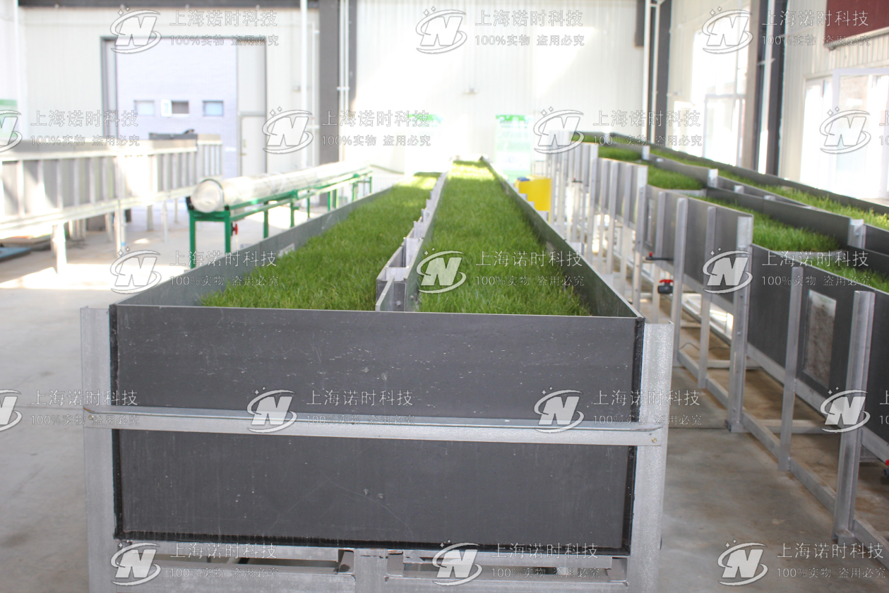 海綿城市植被緩沖帶