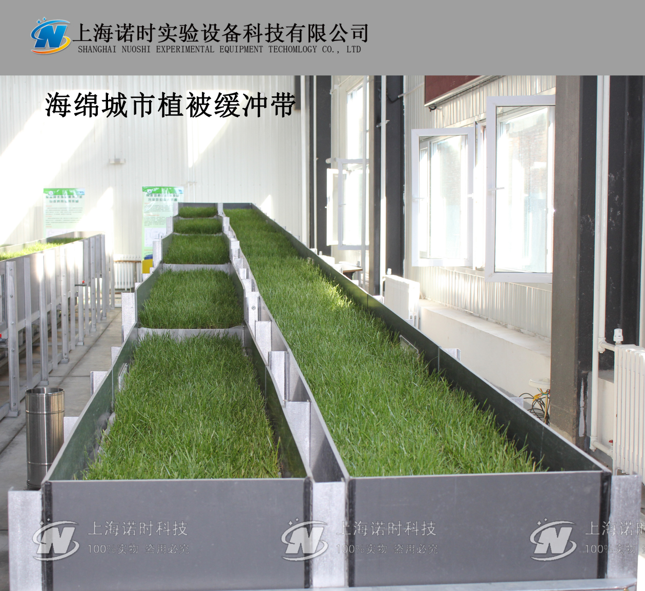 海綿城市植被緩沖帶