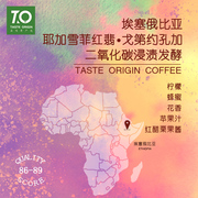 TO咖啡 埃塞俄比亞 耶加雪菲紅翡精品咖啡豆