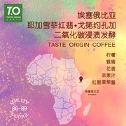 TO咖啡 埃塞俄比亞 耶加雪菲紅翡精品咖啡豆