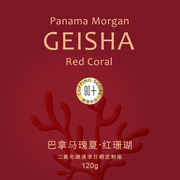TO咖啡巴拿馬摩根莊園瑰夏紅珊瑚精品咖啡豆
