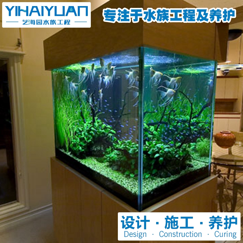 水草魚缸 (2).jpg