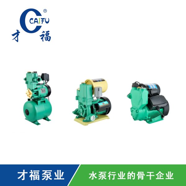 PW全自動(dòng)冷熱水泵