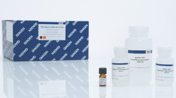 FlexiGene DNA Kit (51206)