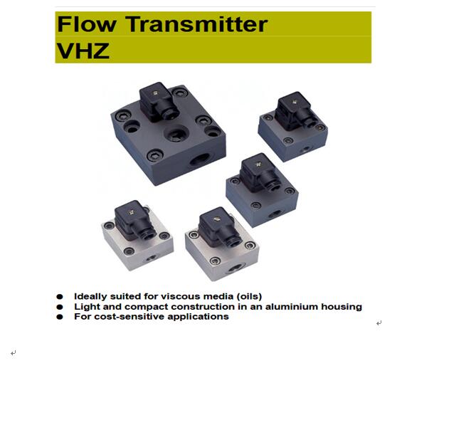 豪斯派克Honsberg VHZ-...GA系列流量變送器