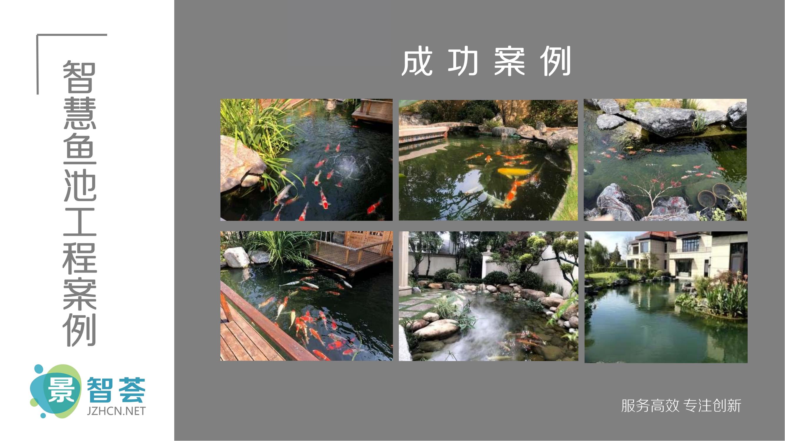 智能錦鯉魚池過(guò)濾解決方案